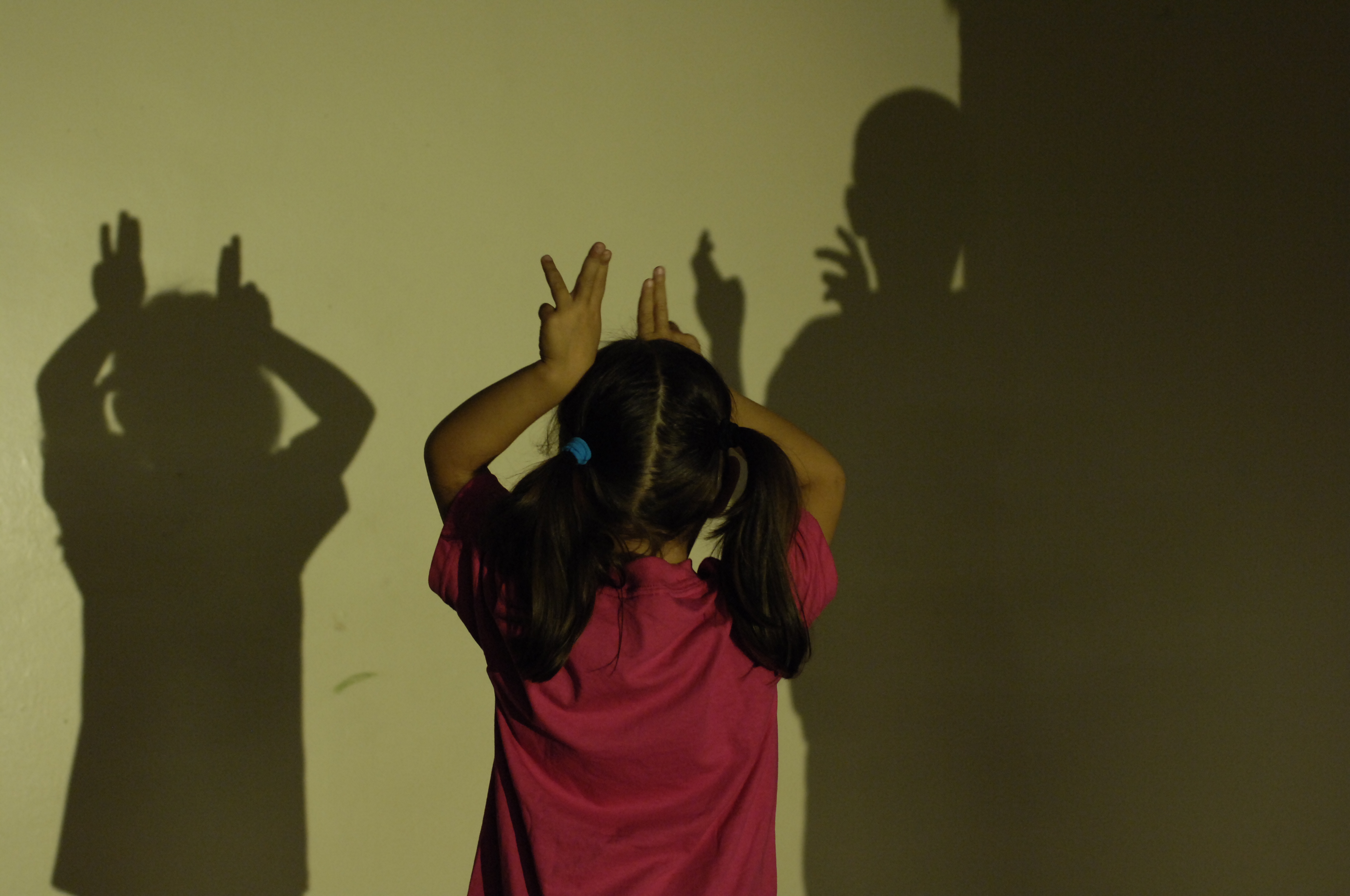 Indoor Shadows Shadows StandAlone Activities Educators Peep